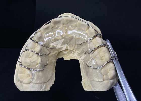 Buen precio Confortable para usar el retenedor Hawley de AMD Dental Lab para una ortodoncia segura y saludable en línea