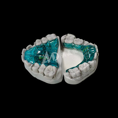Buen precio Dispositivos de ortodoncia con amplificador ajustable Dispositivos extraíbles hechos a medida que proporcionan soluciones cómodas y cómodas de alineación dental En línea